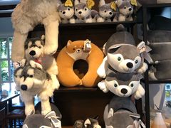 -TrueLove @ Neverland (Husky Cafe)