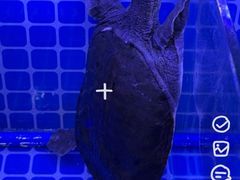-赣菜笔记·江西米粉·小龙虾·小炒(曹杨路店)