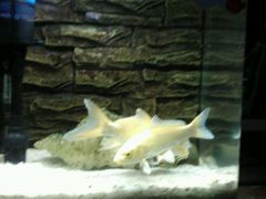 -洛阳龙门海洋馆