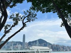 -香港皇家太平洋酒店