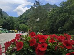 -秦岭终南山世界地质公园翠华山景区