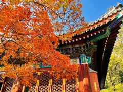 -香山公园