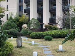 -上海崇明金茂凯悦酒店