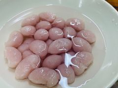 -章记正宗南岗鱼蛋火锅