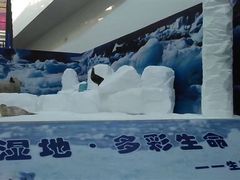 -中国湿地博物馆