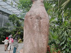 -北京植物园-展览温室