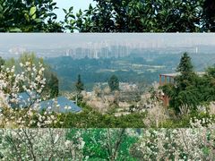 -樱桃山旅游景区