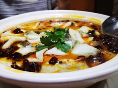 -百福麵家(新馬路店)