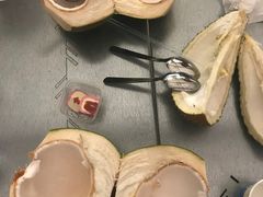 -都念榴莲·城市榴莲