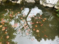 -东山雕花楼