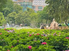 -常州古运河南大街文化旅游区-人民公园