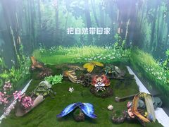 -陕西自然博物馆