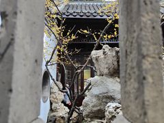 -个园