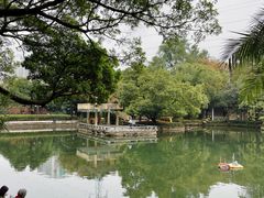 -晓港公园
