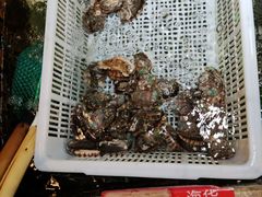 葱油焗鲍鱼-阿拉斯加·海货(马王堆店)