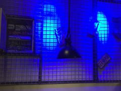 -美滋滋尚鱼烤鱼餐厅(空港店)