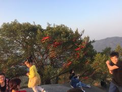 -云洞岩风景区