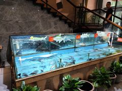 -饭怕鱼(阳光100店)