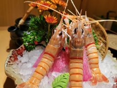 -越光米贩精致料理餐厅(金鹰店)