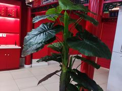-芦月轩羊蝎子(太平桥店)