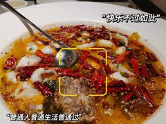 -九毛九西北菜(百信广场店)