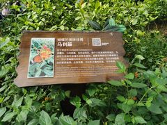 -南宫五洲植物乐园