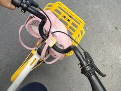 -广州天河体育中心-棒垒球场