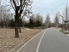 -坝河休闲公园