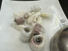 -源港渔村-中山脆肉鲩(博罗店)
