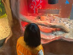 -上海大自然野生昆虫馆(东方明珠·爬宠昆虫探索中心)