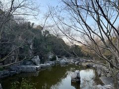 -上海吴淞炮台湾国家湿地公园