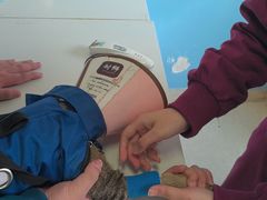 -瑞派福兴宠物医院犬猫全科·骨科·中西医结合(河东店)