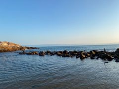 -广东惠东海龟国家级自然保护区
