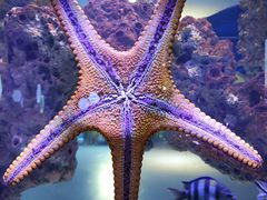 -海合安武汉极地海洋公园