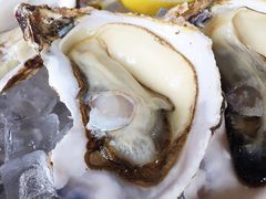 -LENBACH兰巴赫西餐啤酒坊(大连东港店)