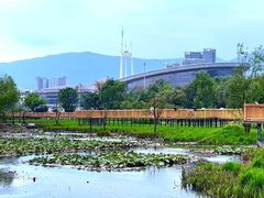 -大理国际奥林匹克体育中心