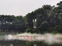 -广州长隆飞鸟乐园