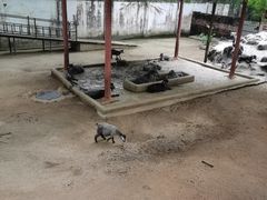 -深圳野生动物园