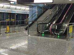 -大龙山(地铁站)