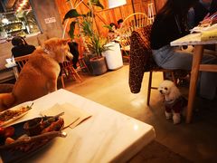 大堂-the rug 飞毯 (朝阳公园店)