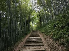 -西湖风景区十里琅珰-五云山