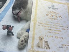 -博特宠物医院24h犬猫全科.骨科·异宠