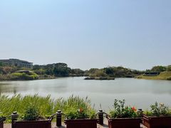 -福田红树林生态公园