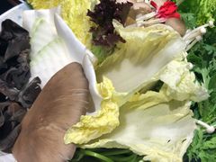 -快乐小羊(富强中路店)