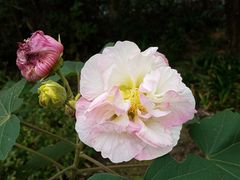 -仙海旅游度假区