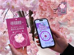 -金茂览秀城