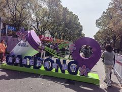 -高东镇樱花园