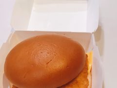 -麦当劳(衡阳中心汽车站店)