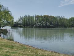 -贡湖湾湿地公园