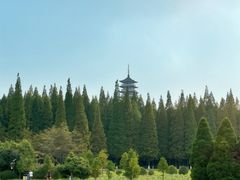 -宜兴龙背山森林公园